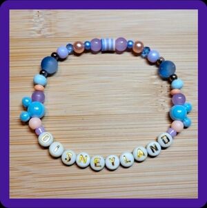 Disneyland- Friendship Bracelet, Size 8"